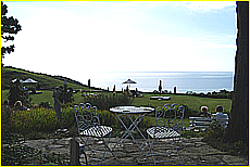 Cornwall Tourism Magazine - Doggy holidays in Cornwall - Polurrian Bay Hotel - Copyright - Ed Stone Web Design